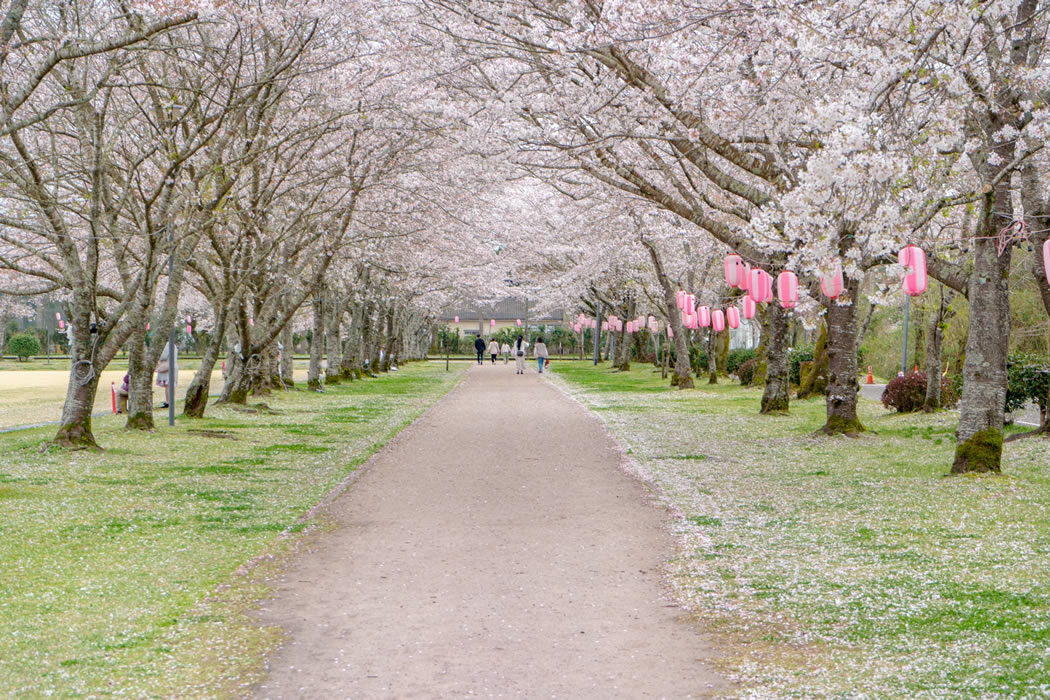 忠元公園